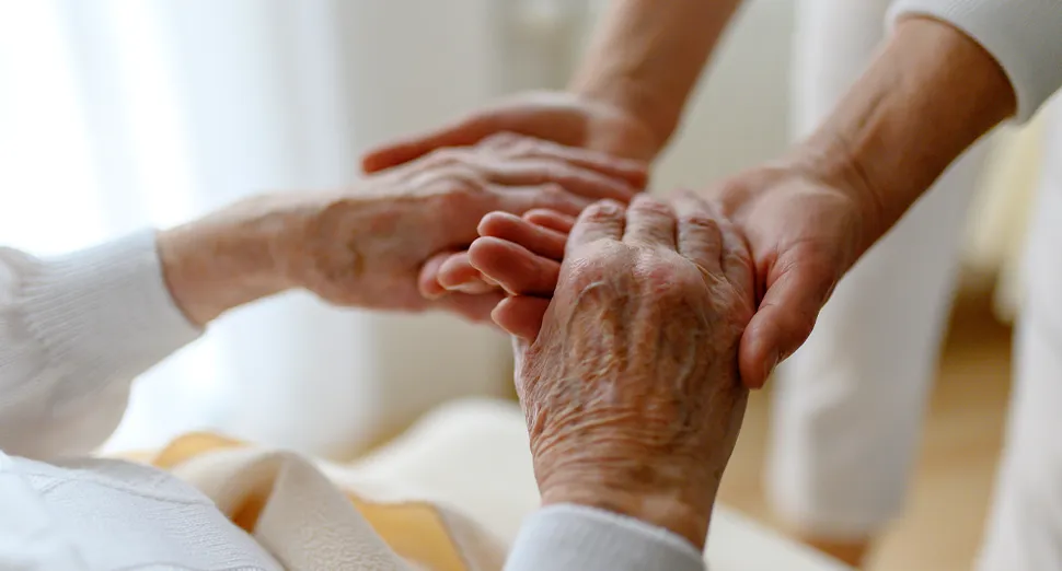 paedagogisches-rahmenkonzept-lernen-mit-praxistransfer